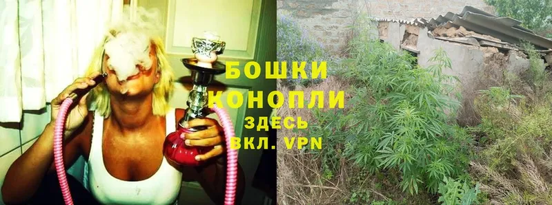 где купить   Ахтубинск  Марихуана SATIVA & INDICA 